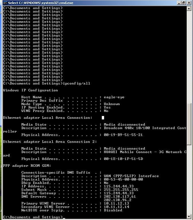 ipconfig Command Output